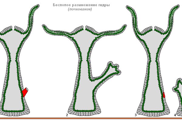 Кракен переходник ссылка