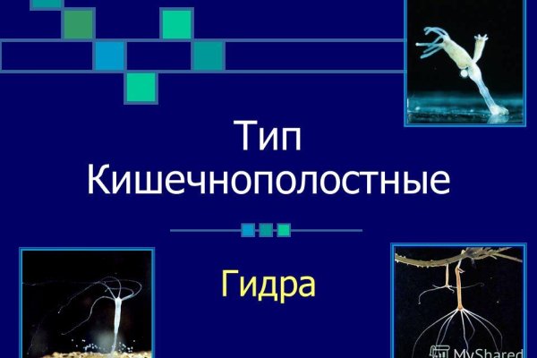 Как найти кракен шоп