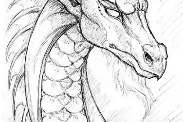 Kraken19at