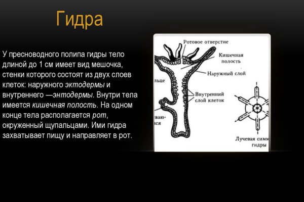 Зеркало на кракен