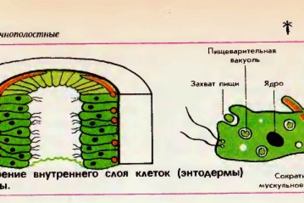 Kraken clear ссылка